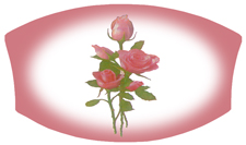 DNSWILL 072 Cameo Rose Pink